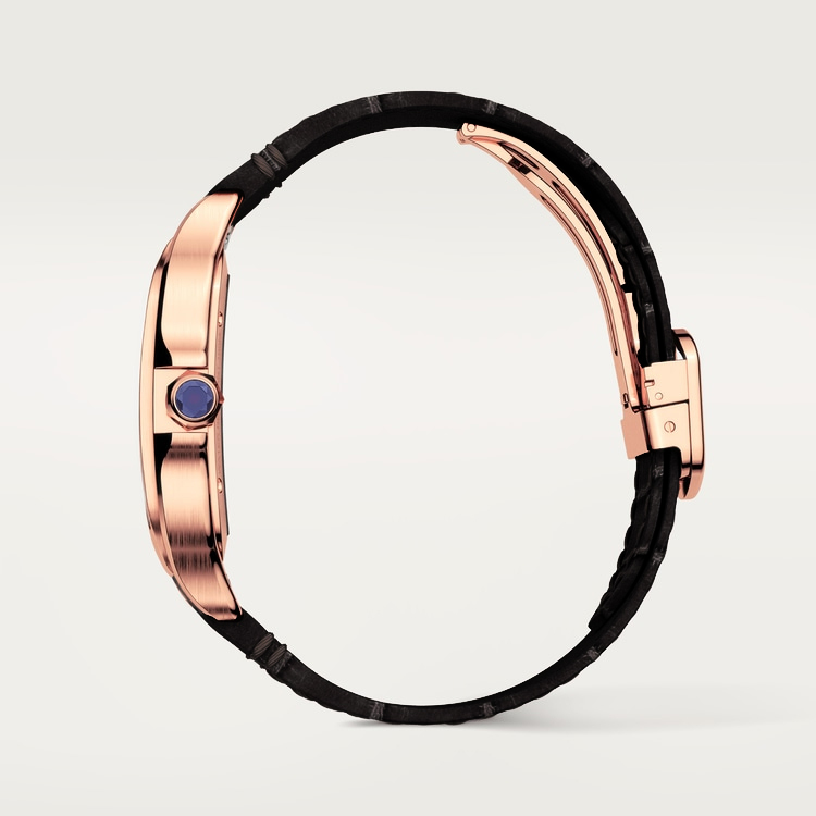 SANTOS DE CARTIER WATCH