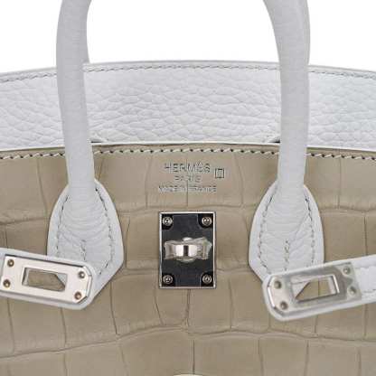 Limited Edition Birkin 20 Faubourg Sellier Bag Neige (Snow) White Matte Alligator