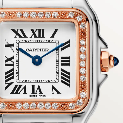 PANTH??RE DE CARTIER WATCH