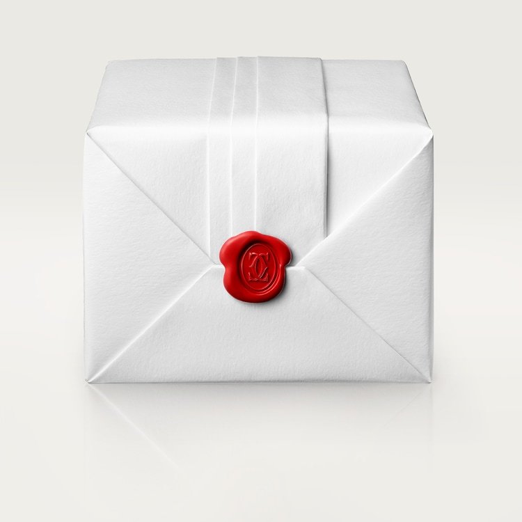 SANTOS-DUMONT WATCH SMALL MODEL