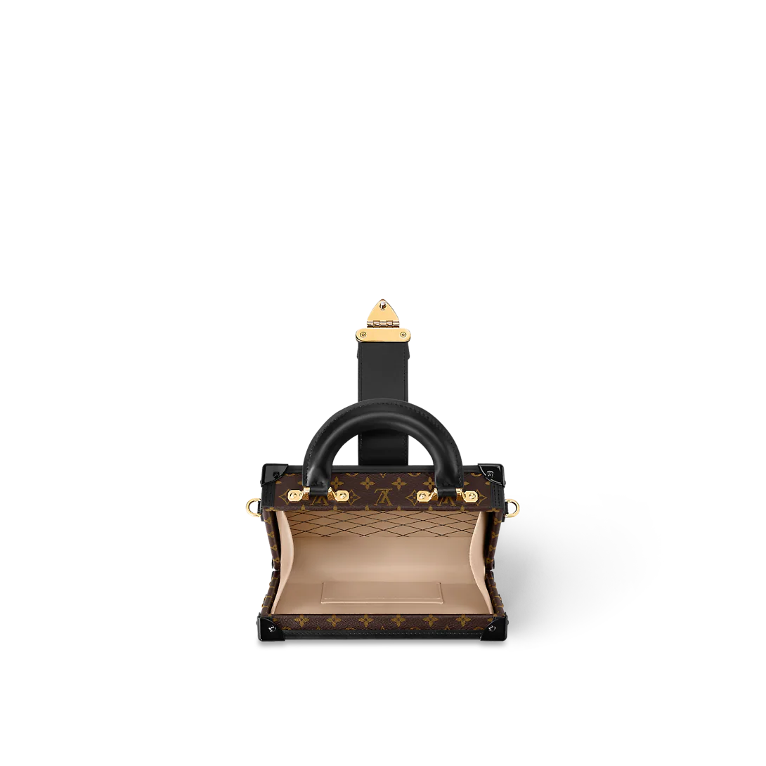 Petite Malle Capitale M46755