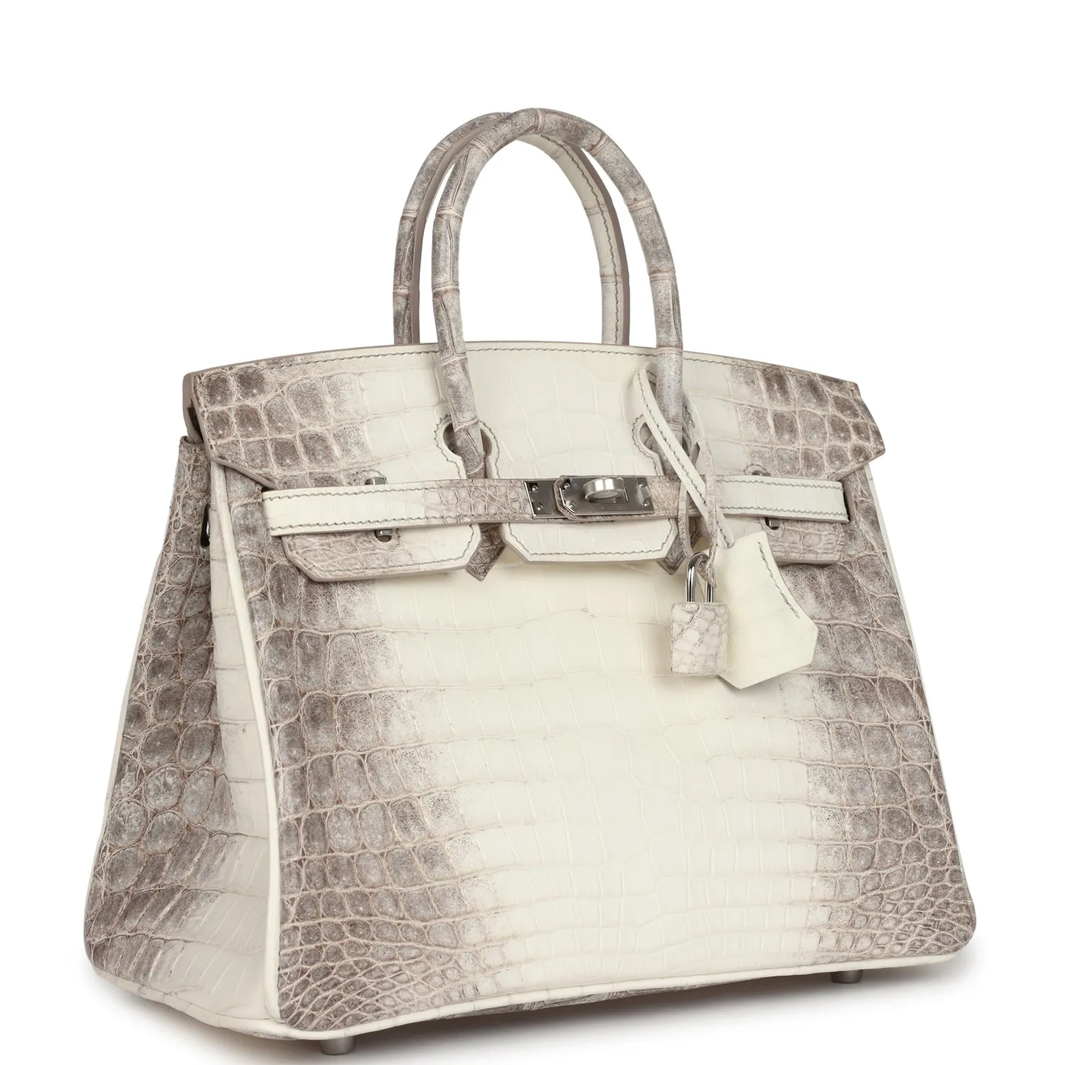 Herthtmes Birkin 25 Himalaya Niloticus Crocodile Palladium Hardware