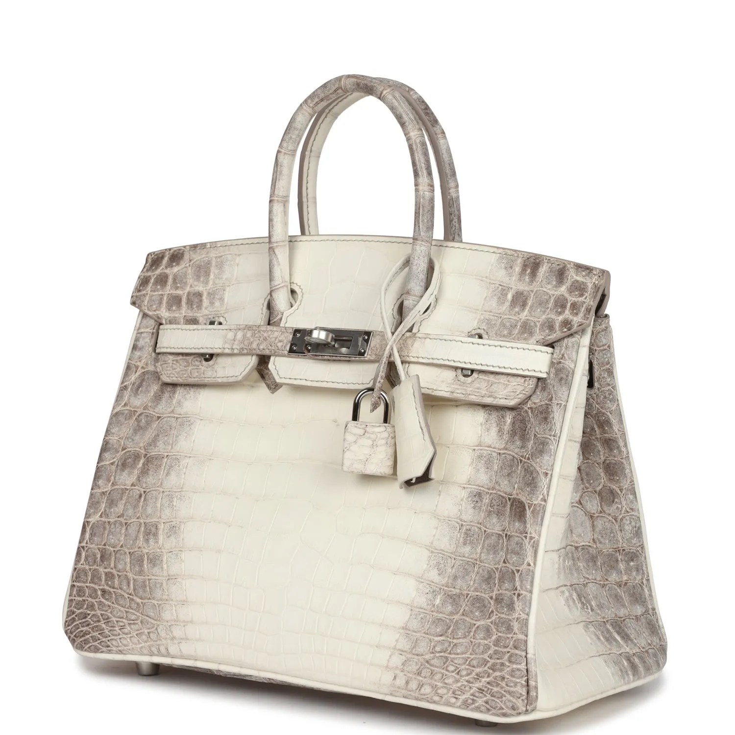 Herthtmes Birkin 25 Himalaya Niloticus Crocodile Palladium Hardware