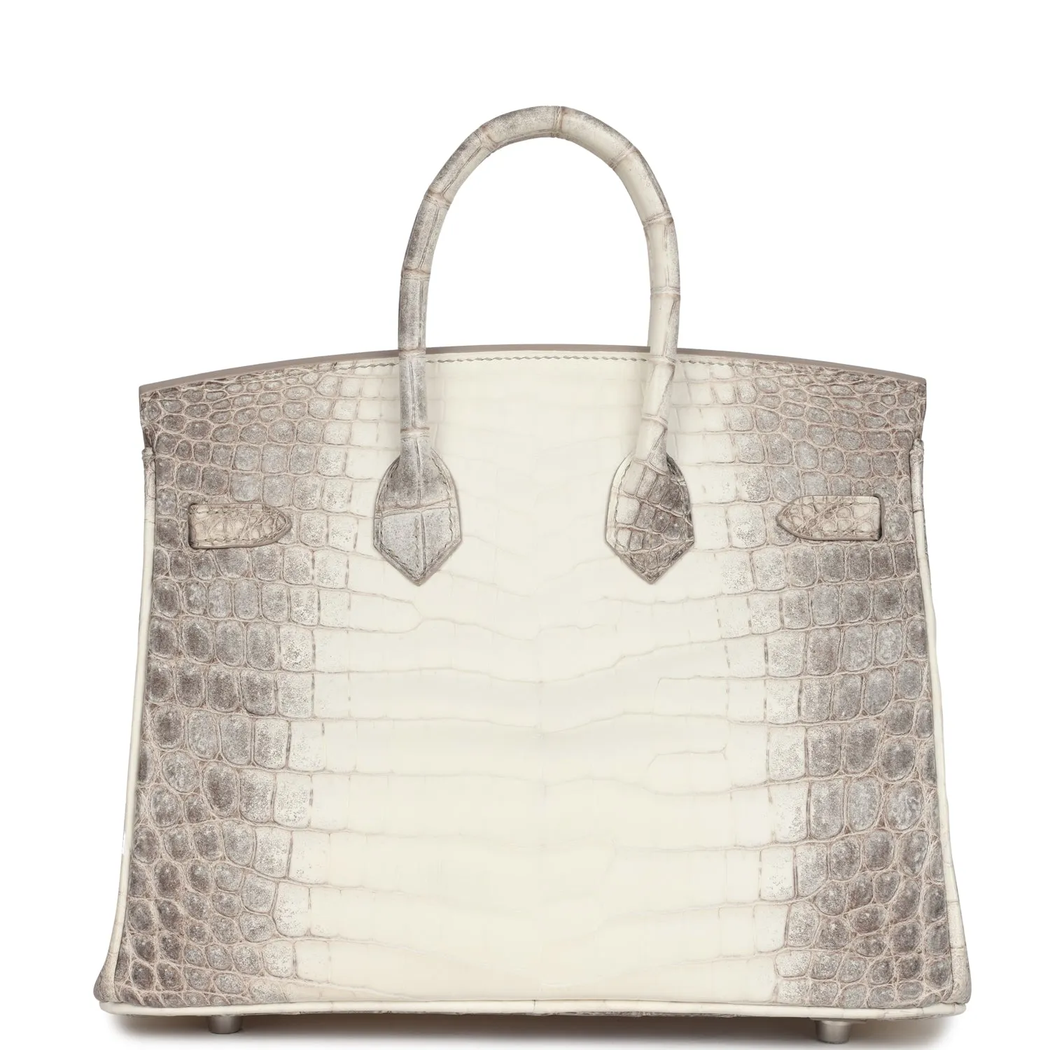 Herthtmes Birkin 25 Himalaya Niloticus Crocodile Palladium Hardware