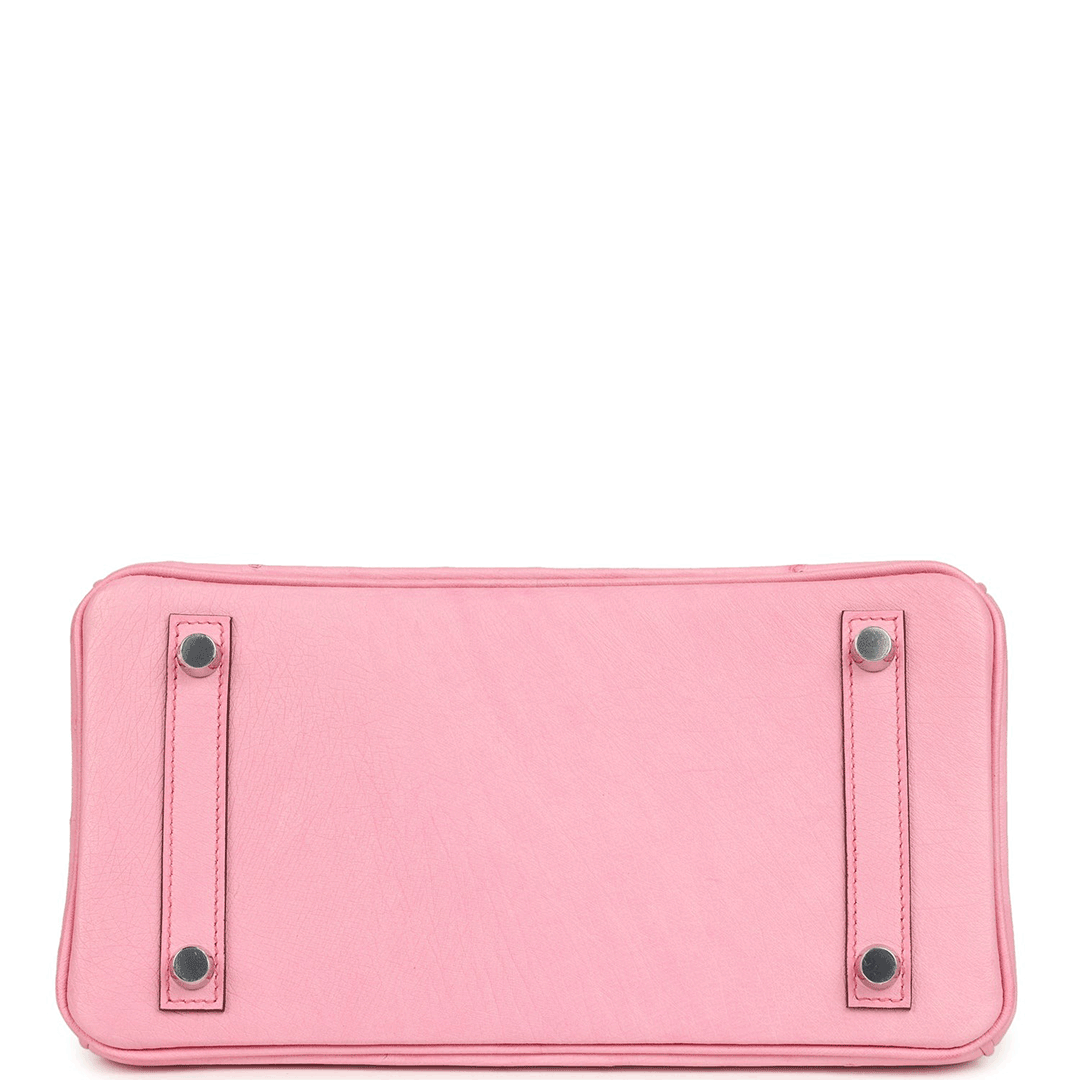 Herthtmes Birkin 25/30 Bubblegum Ostrich Boreal Palladium Hardware