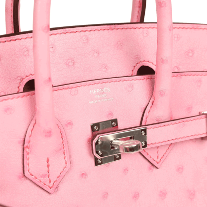 Herthtmes Birkin 25/30 Bubblegum Ostrich Boreal Palladium Hardware