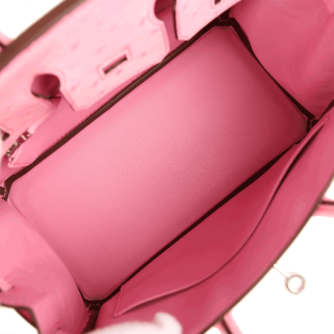 Herthtmes Birkin 25/30 Bubblegum Ostrich Boreal Palladium Hardware