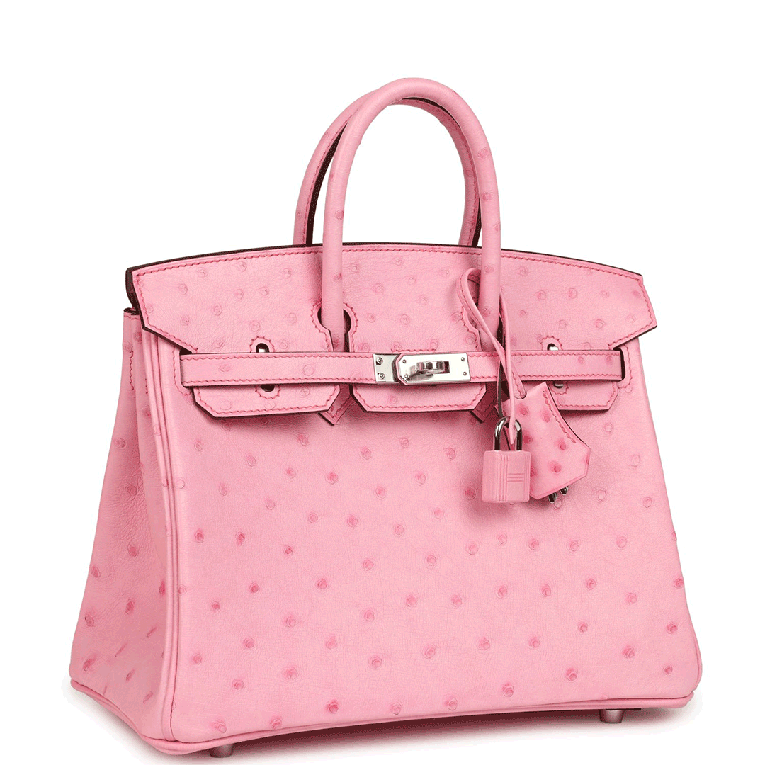Herthtmes Birkin 25/30 Bubblegum Ostrich Boreal Palladium Hardware