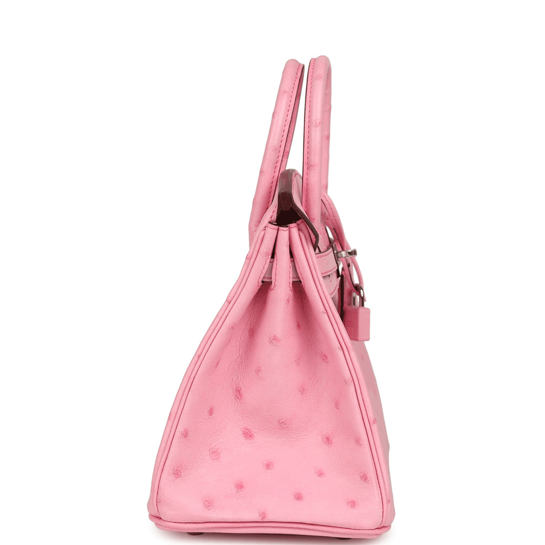 Herthtmes Birkin 25/30 Bubblegum Ostrich Boreal Palladium Hardware