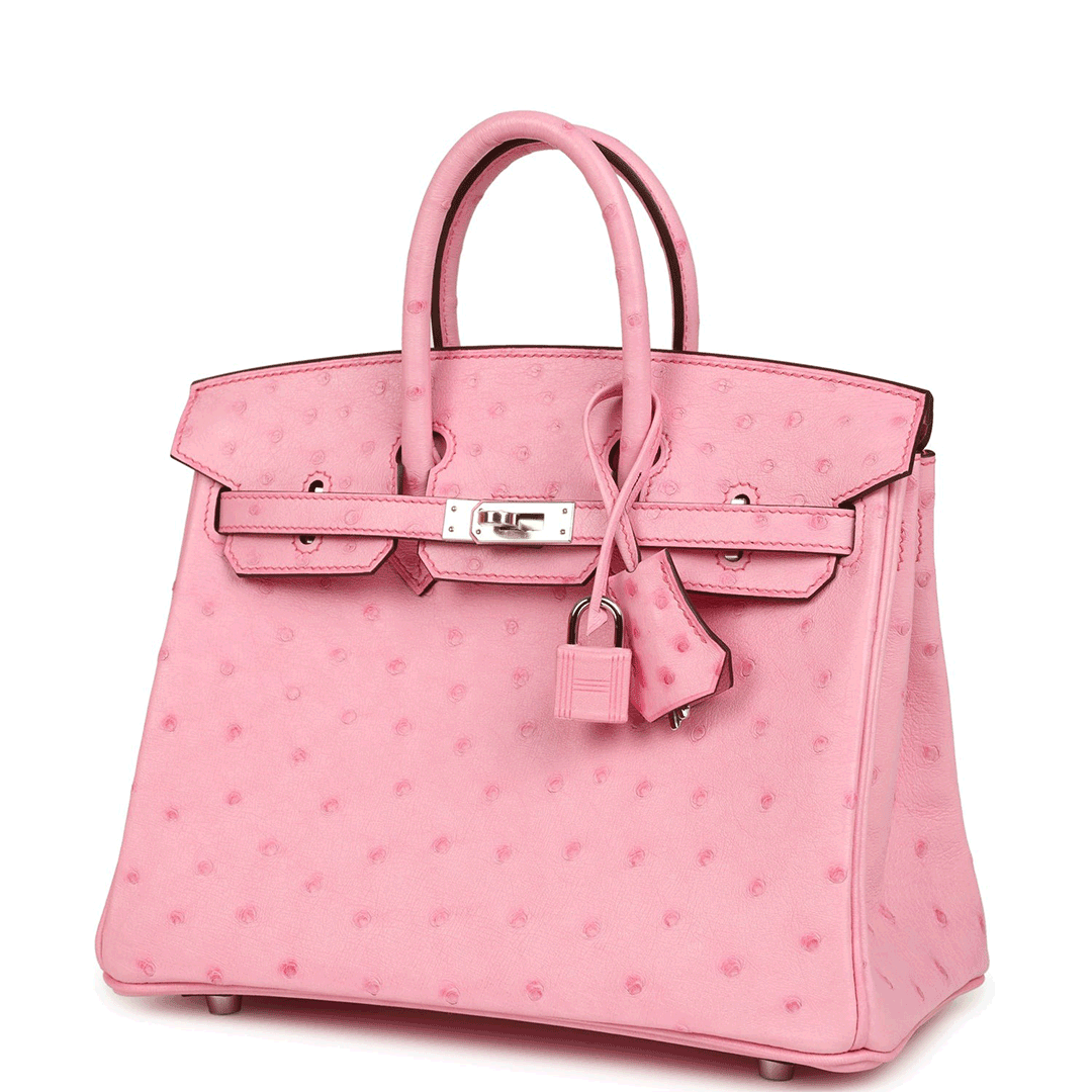 Herthtmes Birkin 25/30 Bubblegum Ostrich Boreal Palladium Hardware