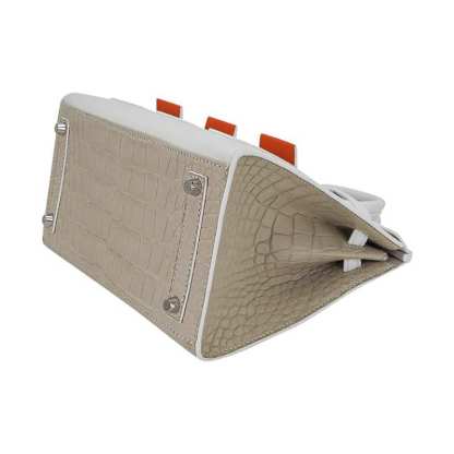 Limited Edition Birkin 20 Faubourg Sellier Bag Neige (Snow) White Matte Alligator