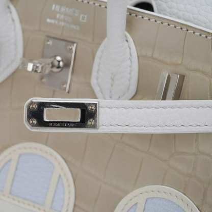 Limited Edition Birkin 20 Faubourg Sellier Bag Neige (Snow) White Matte Alligator