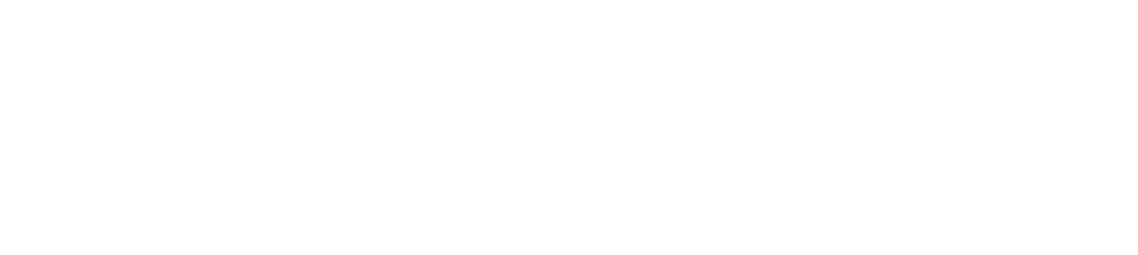 V Light Hair for Salon