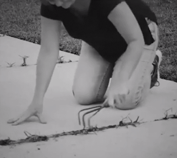 1646477051885715.gif 1635078299395306.gif