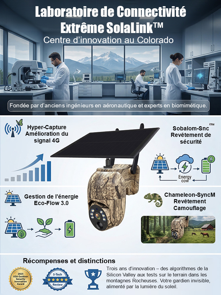 Caméra de surveillance à dôme motorisé solaire