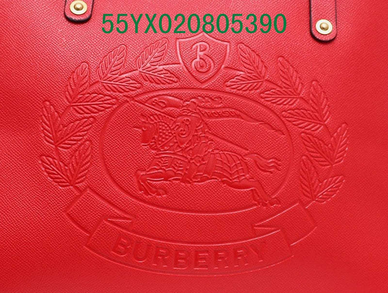 Disarh Fashion -BBR Bags - 673