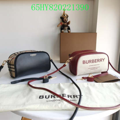 Disarh Fashion -BBR Bags - 313
