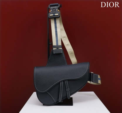 Disarh - Dir Bags - 1971