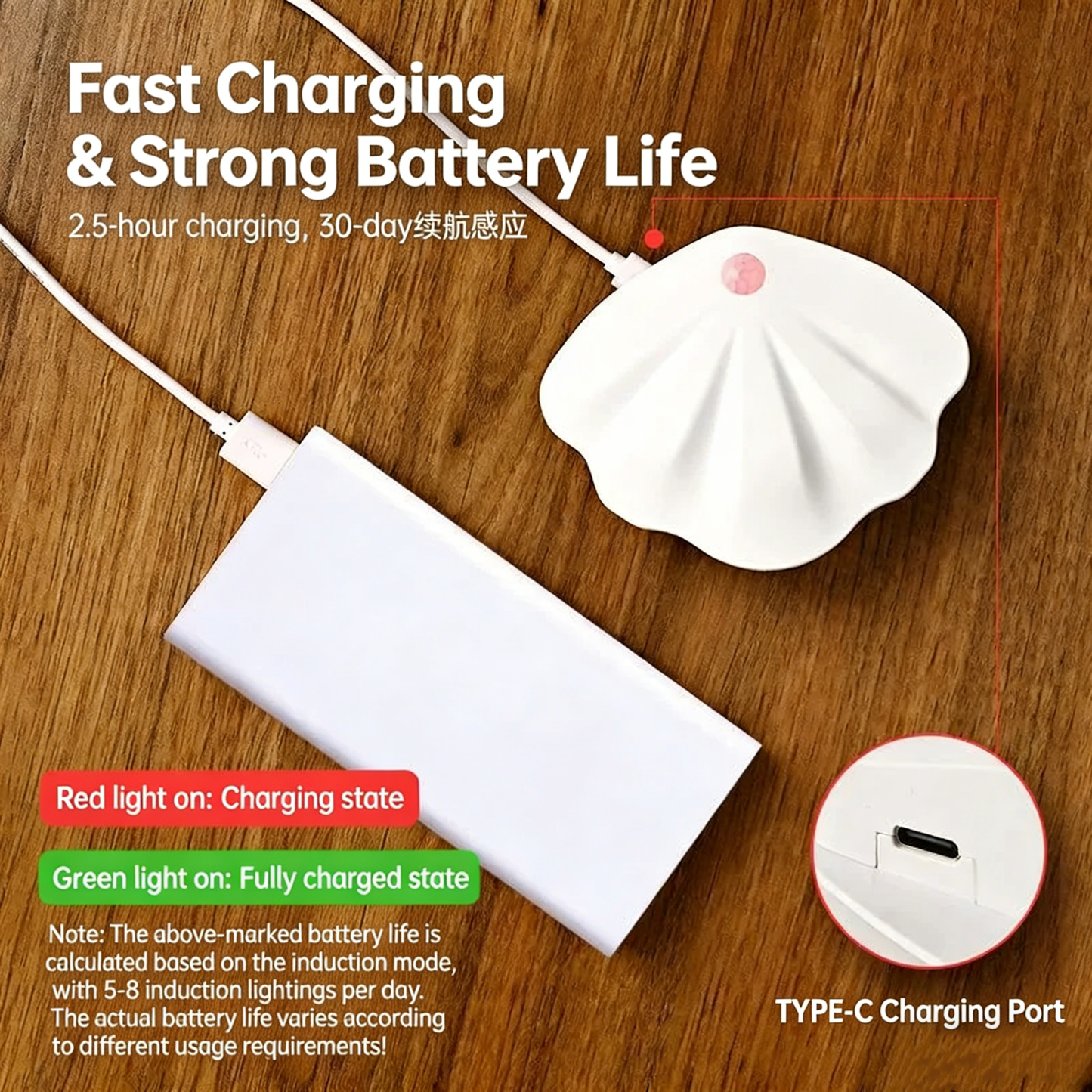 Magnetic Rechargeable Motion Sensor Wall Light – Wireless LED Indoor Night Light, Shell Design Doorplate Lamp