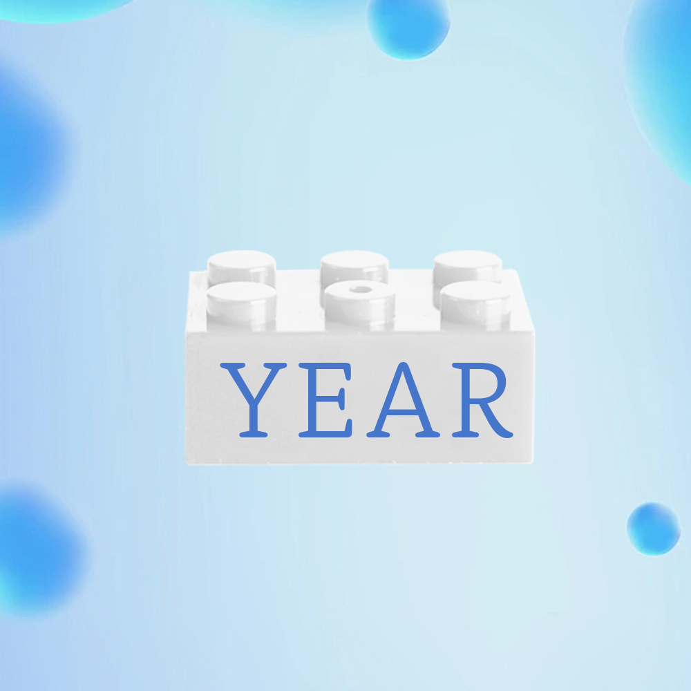 Building Block Gifts Custom Text Induction Gift Company Age Building Blocks Multi-Color Different Size Building Block Gifts