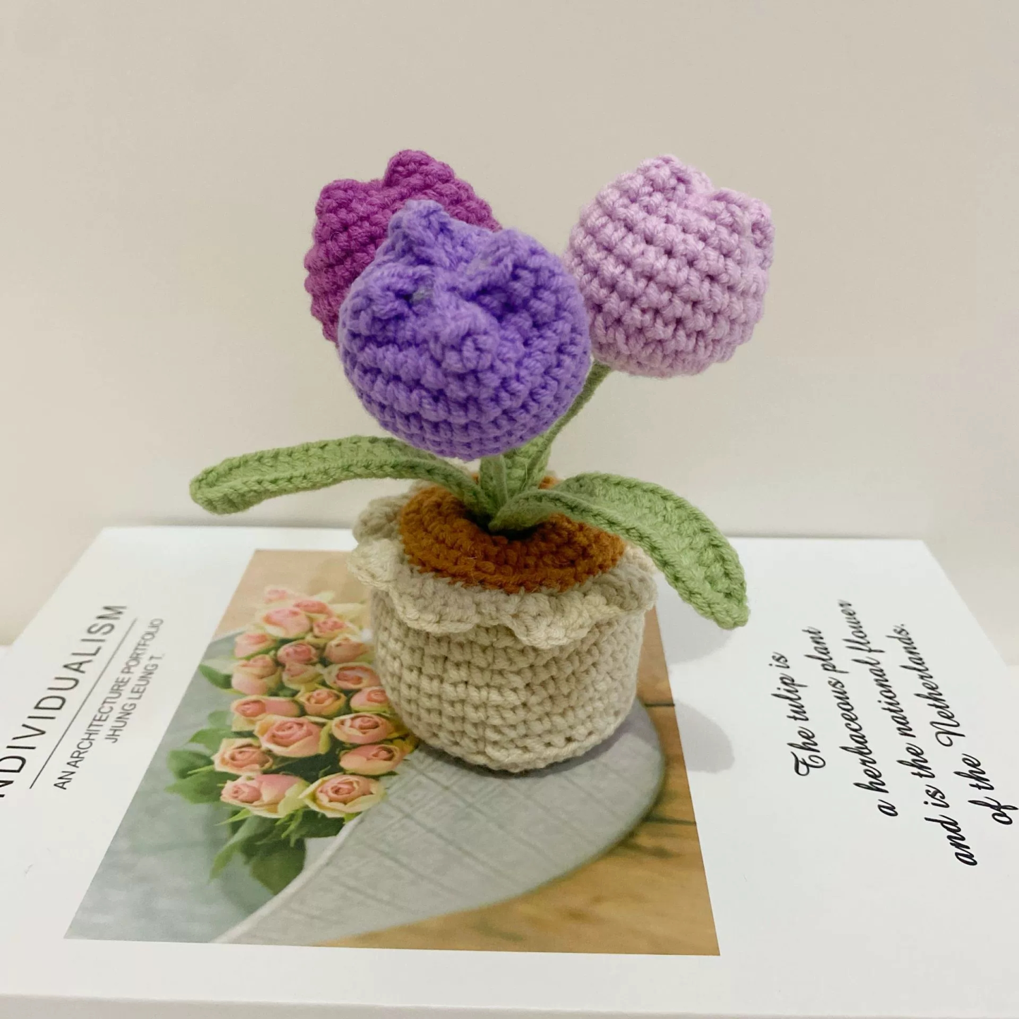 Crochet Flowers Bouquet Handmade Knitted Rose Tulip Bouquet With Clear Tote Bag and String Lights Happy Mother's Day Gift