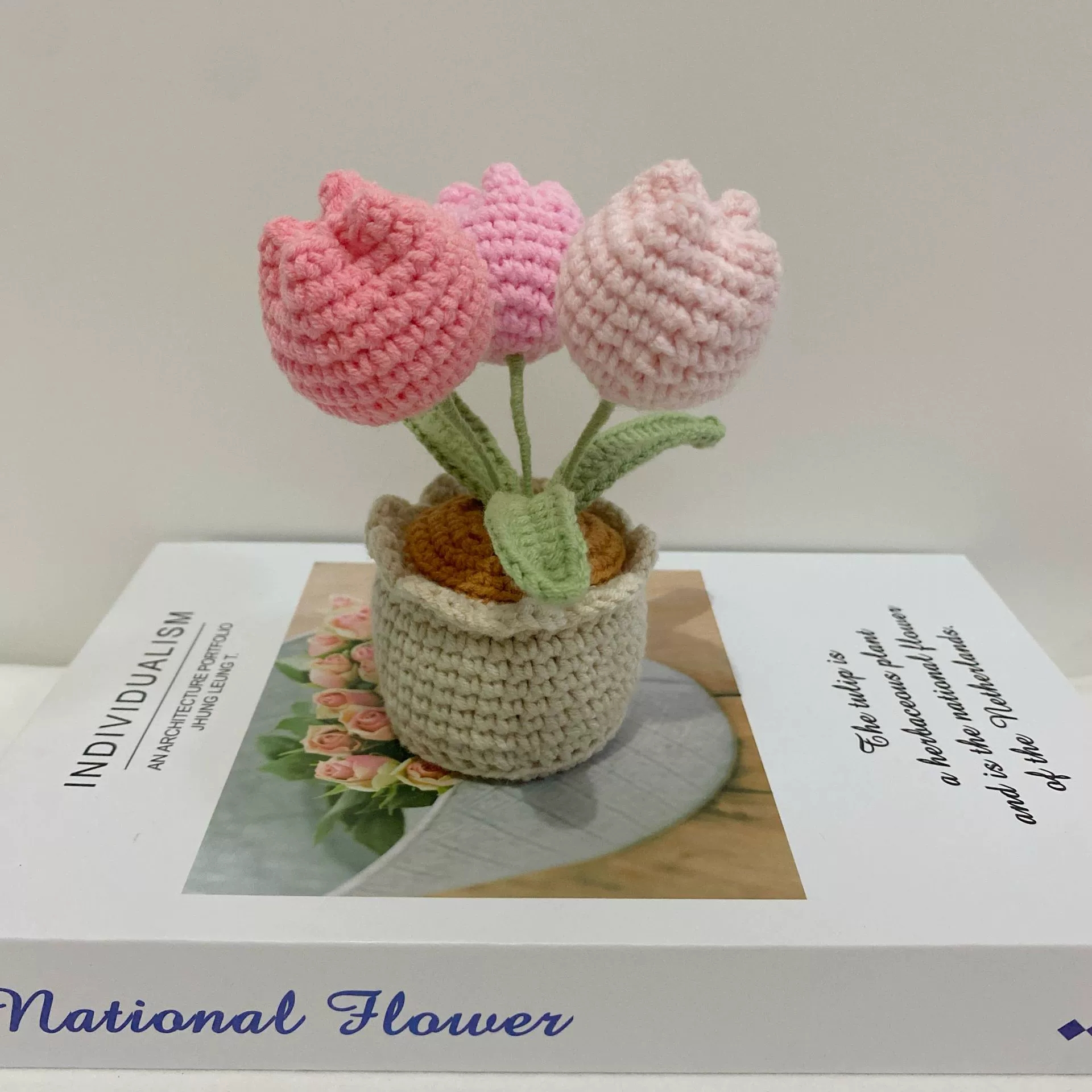 Crochet Flowers Bouquet Handmade Knitted Rose Tulip Bouquet With Clear Tote Bag and String Lights Happy Mother's Day Gift