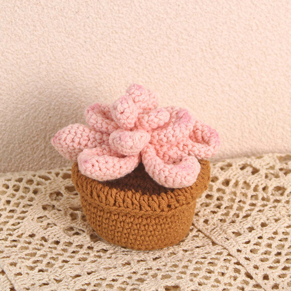 Succulent Crochet Potted Plants Completed Hand Woven Knitted Potted Plants Gift for Handicraft Lover - SantaSocks