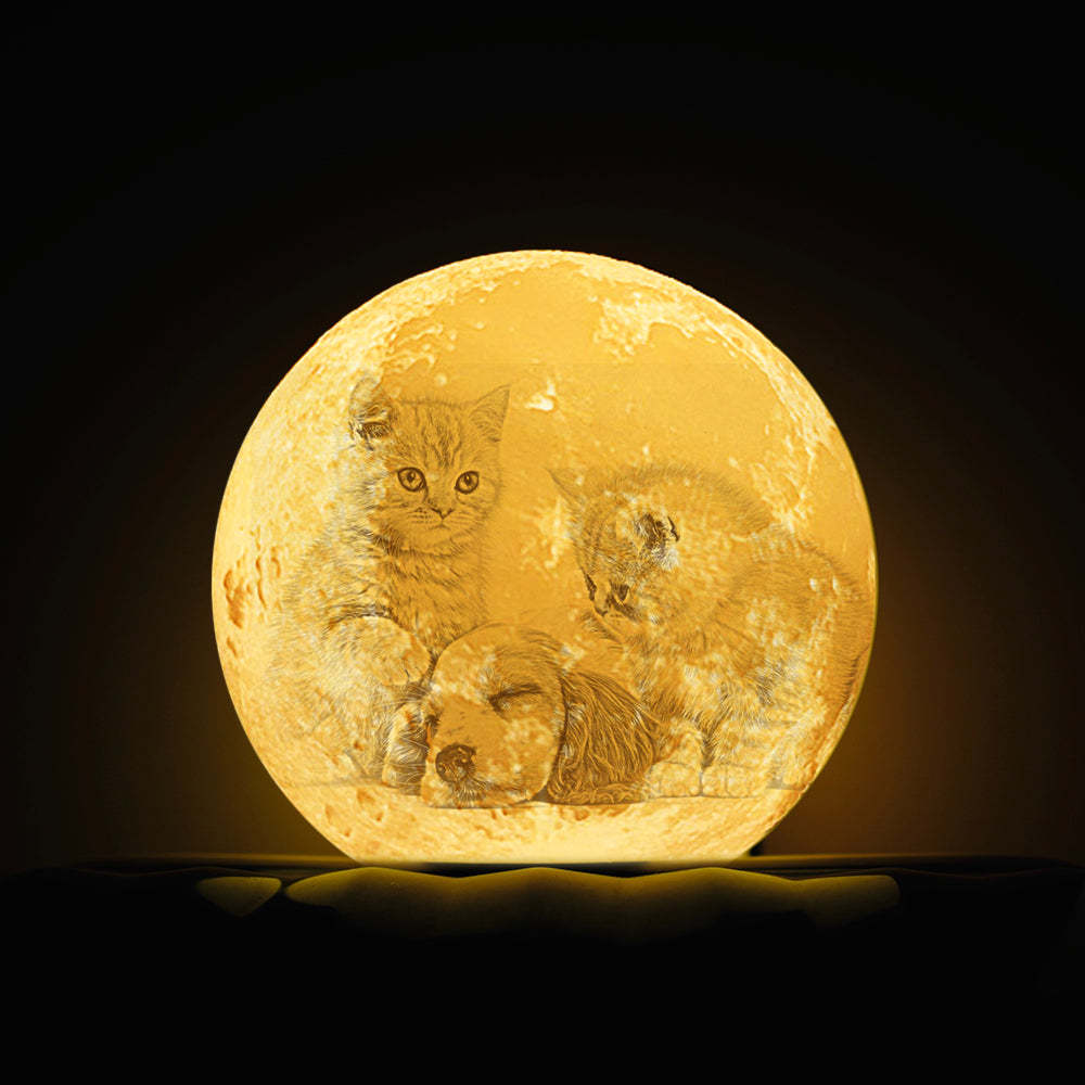 Pet Memorial Gift Photo Moon Lamp Engraved Luna Lamp With Engravings - SantaSocks