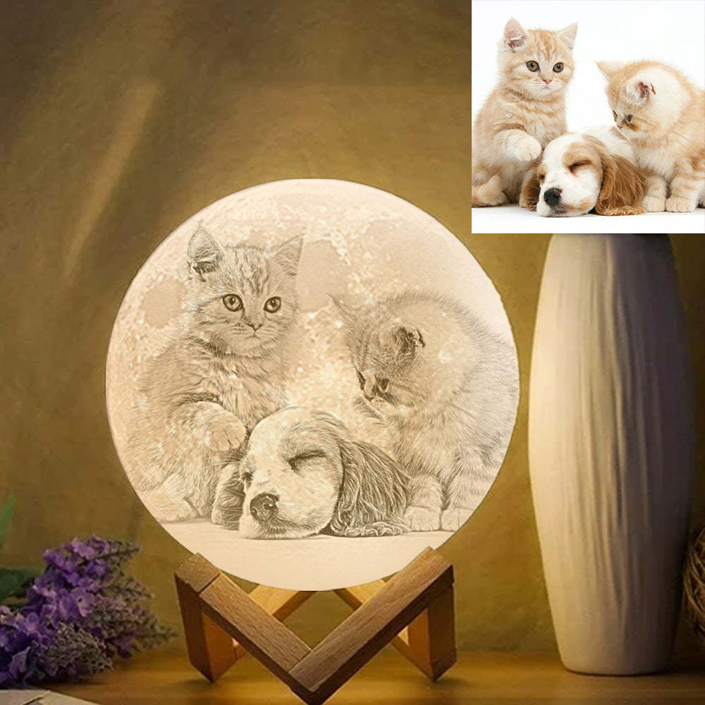 Pet Memorial Gift Photo Moon Lamp Engraved Luna Lamp With Engravings - SantaSocks
