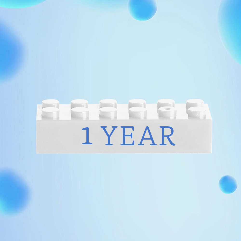 Building Block Gifts Custom Text Induction Gift Company Age Building Blocks Multi-Color Different Size Building Block Gifts