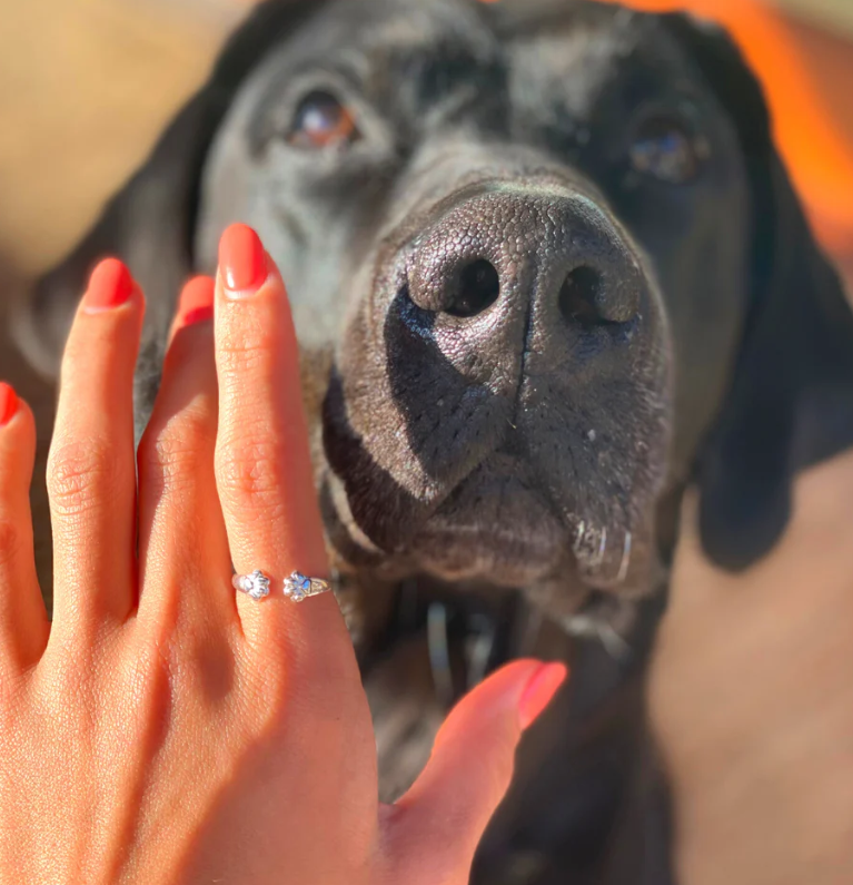 Personalised Pet Ring The Paw Hug From Heaven Custom Name Ring