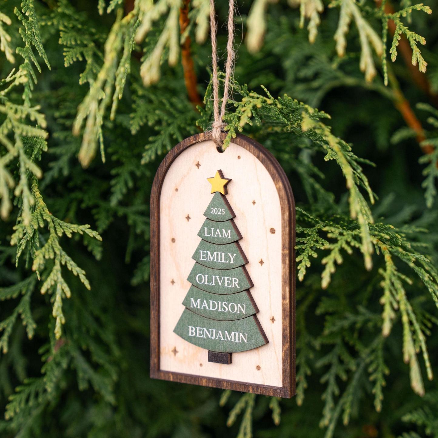 Family Christmas Ornament - 2025 Personalized 3D Ornament With Names - Christmas Tree Ornament