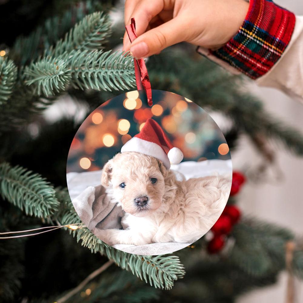 Single-sided Custom Photo Ornaments Stink Stank Stunk Ornament Personalized