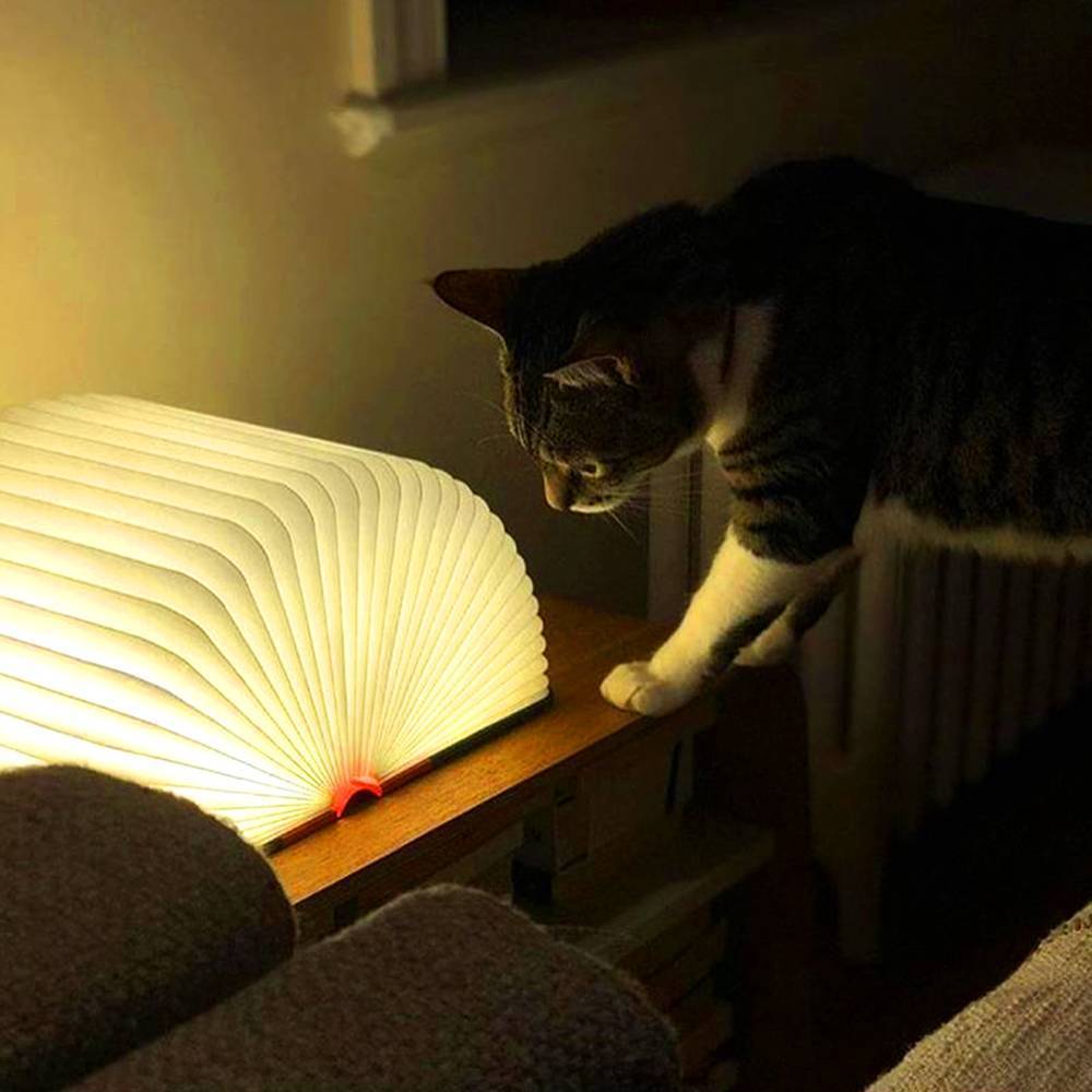 Custom Magic Book Light, Decorative Lamp, Baby Gift Reading Light