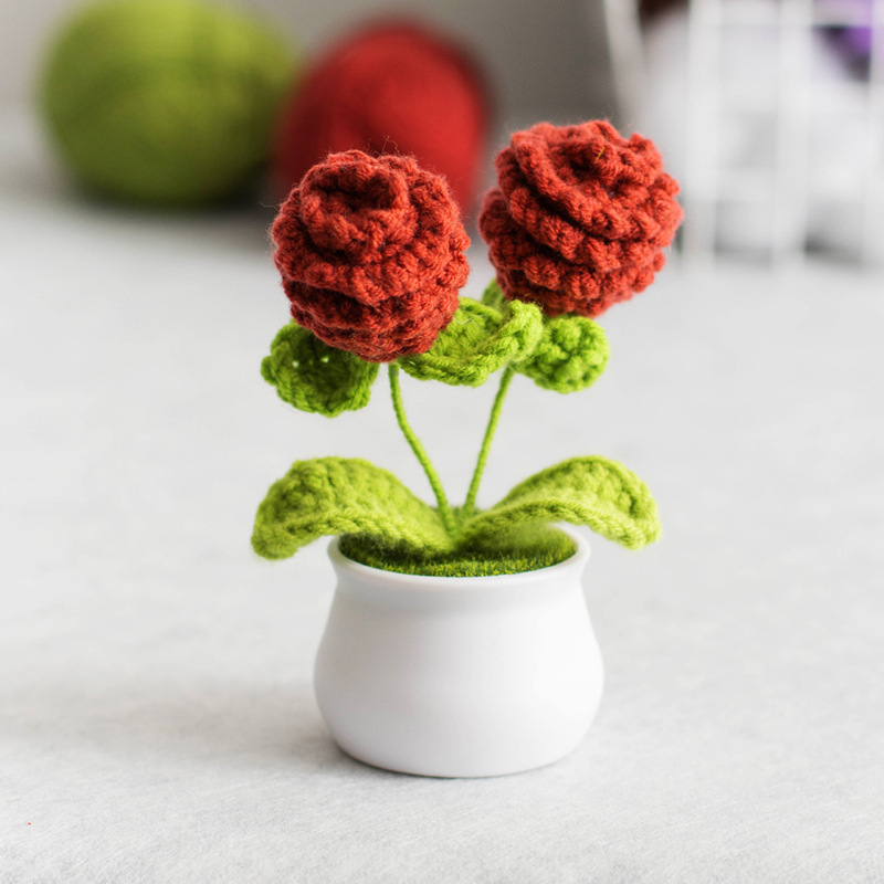 Crocheted Pine Cone Mini Pot Sweet Handmade Gift for Her