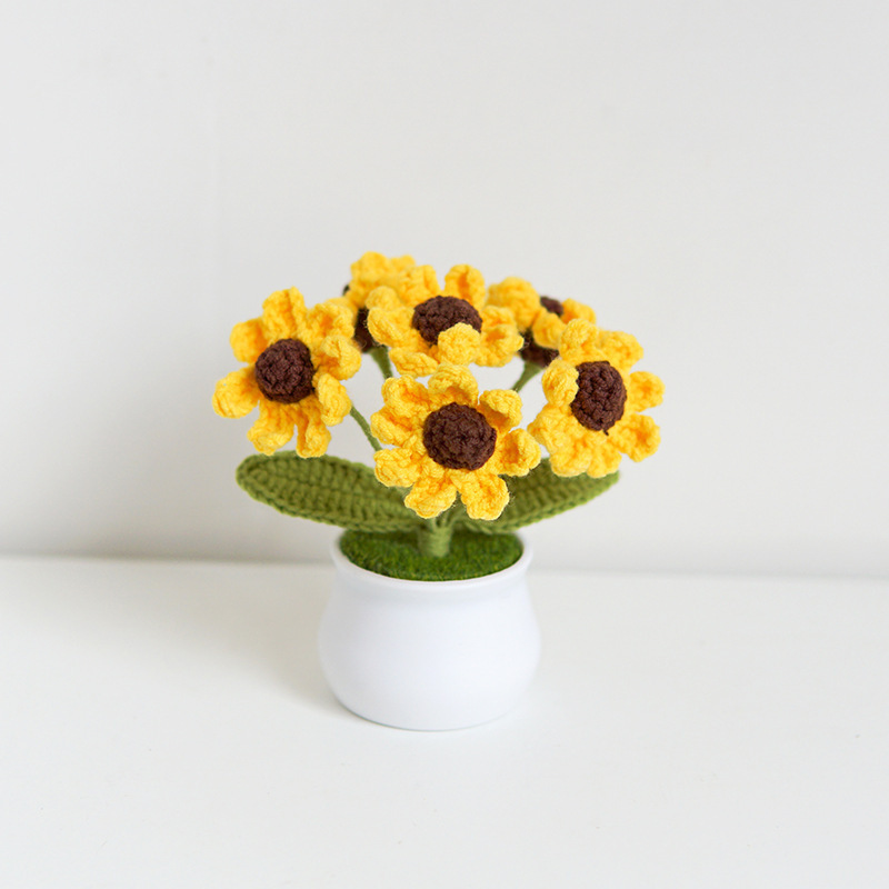 Crocheted Daisy Mini Pot Sweet Handmade Gift for Her