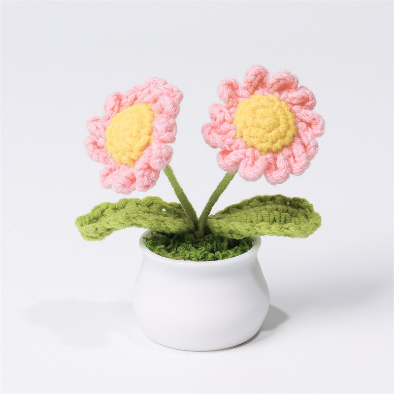 Crocheted Daisy Mini Pot Sweet Handmade Gift for Her