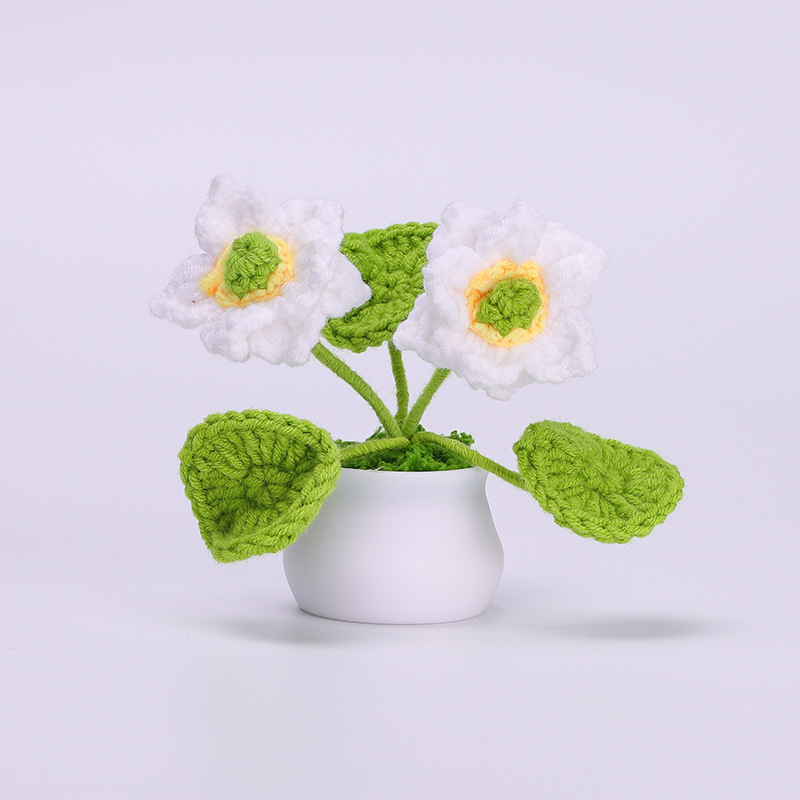 Crocheted Daisy Mini Pot Sweet Handmade Gift for Her