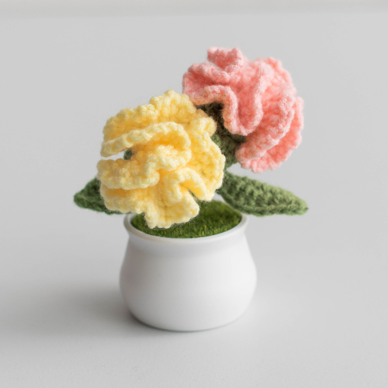 Handcrafted Carnations Crochet Pot Birthday Anniversary Gift for Mom