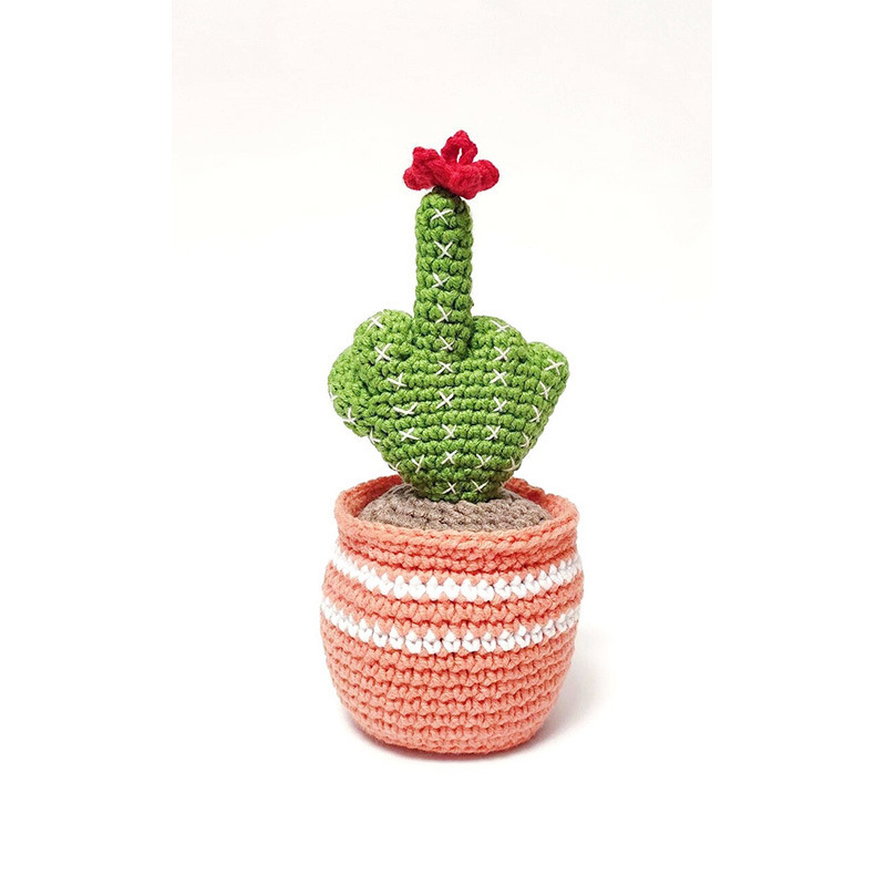 Crocheted Cactus Hand Gesture Pot - Middle Finger Desk Decor