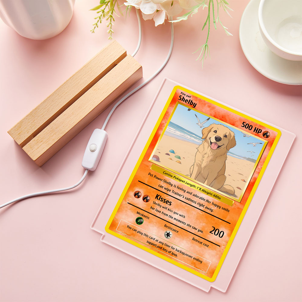 Personalized Pet Photos Acrylic Led Night Light Custom Photos Light Present for Pet Lover