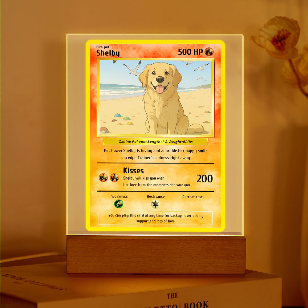 Personalized Pet Photos Acrylic Led Night Light Custom Photos Light Present for Pet Lover