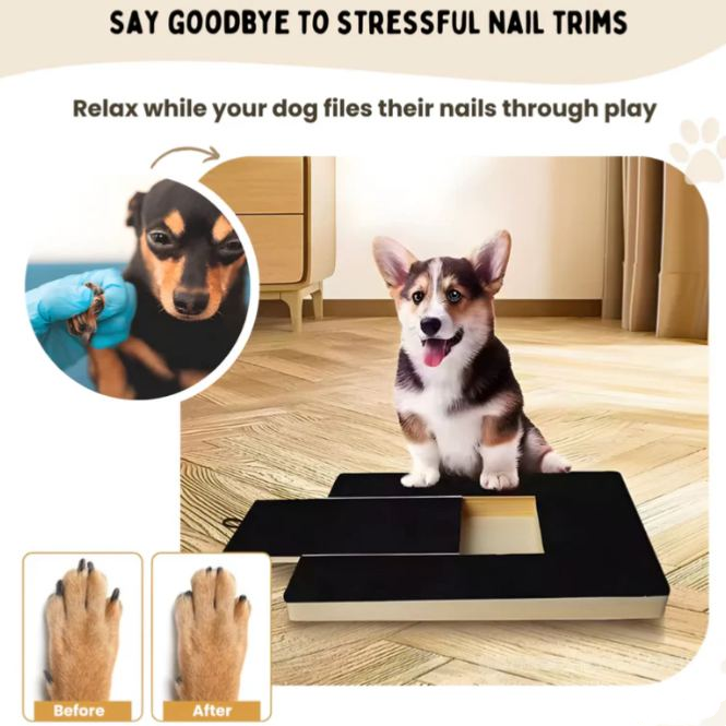 Dog Nail Scratch Board
