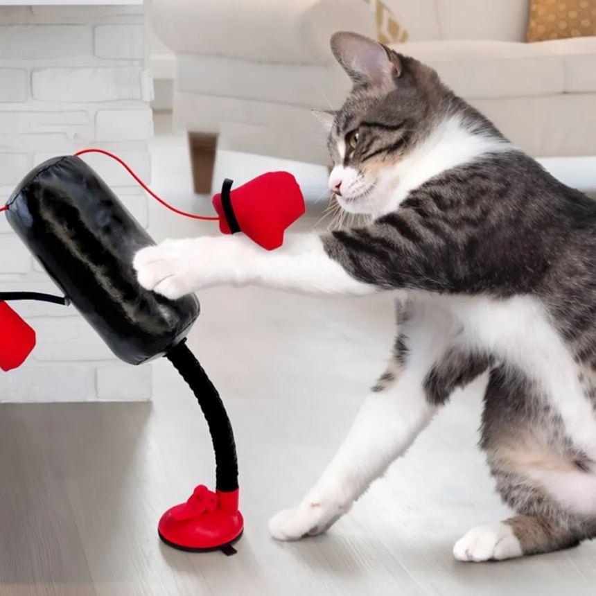 Cat Punching Bag Toy with Spring – Interactive Indoor Silicone Cat Self-Play Toy for Kittens & Cats