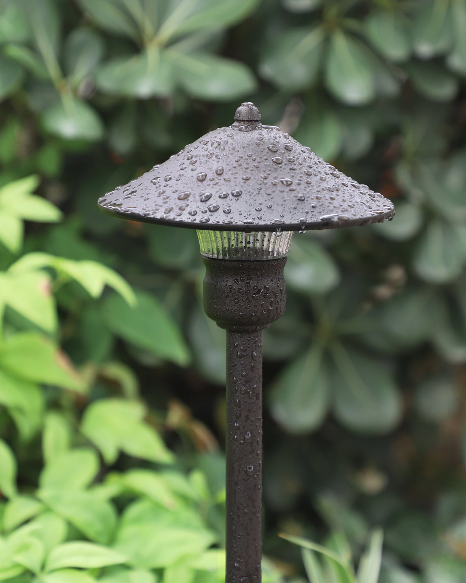 EDISHINE 3W 12V AC/DC LED Low Voltage Landscape Lights (4 Pack)-F1HGSL06A
