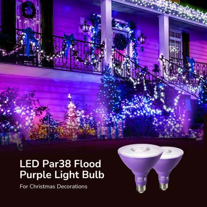 EDISHINE PAR38 Dimmable 18W(120W Equivalent) E26 Base Purple Flood Light Bulb, 2 Pack-HLBP38B
