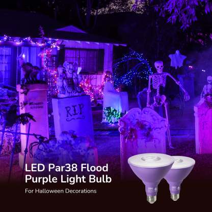 EDISHINE PAR38 Dimmable 18W(120W Equivalent) E26 Base Purple Flood Light Bulb, 2 Pack-HLBP38B