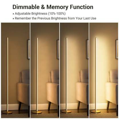 EDISHINE  57.5" RGBW, Mood Lighting, LED Corner Floor Lamp with Remote, Gold, 1 Pack-F1HFLG02R