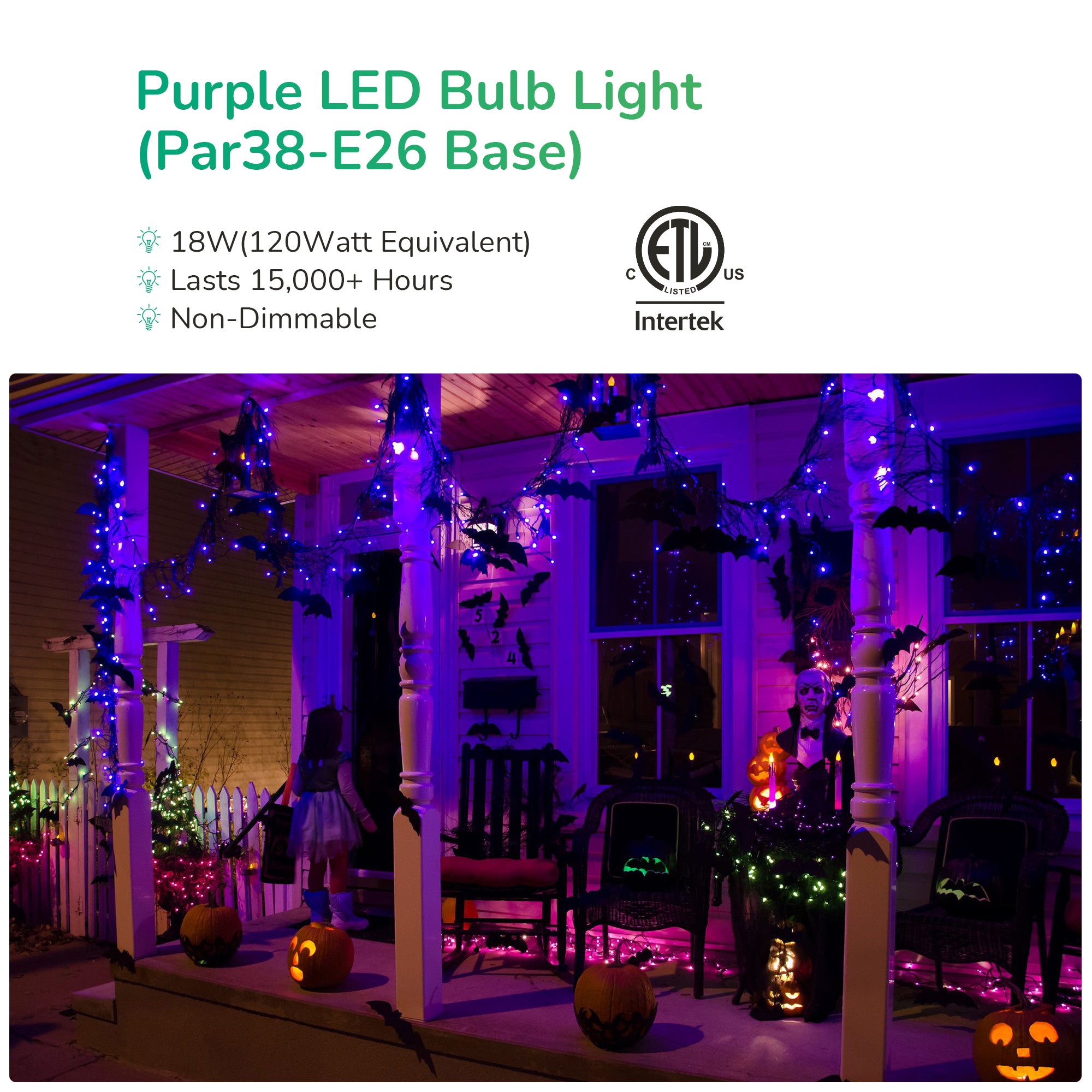 EDISHINE PAR38 Dimmable 18W(120W Equivalent) E26 Base Purple Flood Light Bulb, 2 Pack-HLBP38B