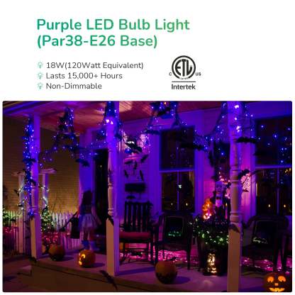 EDISHINE PAR38 Dimmable 18W(120W Equivalent) E26 Base Purple Flood Light Bulb, 2 Pack-HLBP38B